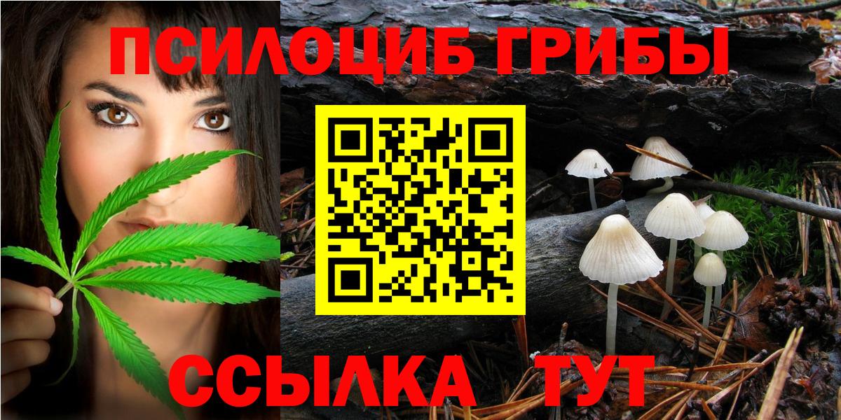 Урус-Мартан  Галлюциногенные грибы GOLDEN TEACHER  Вход с VPN 